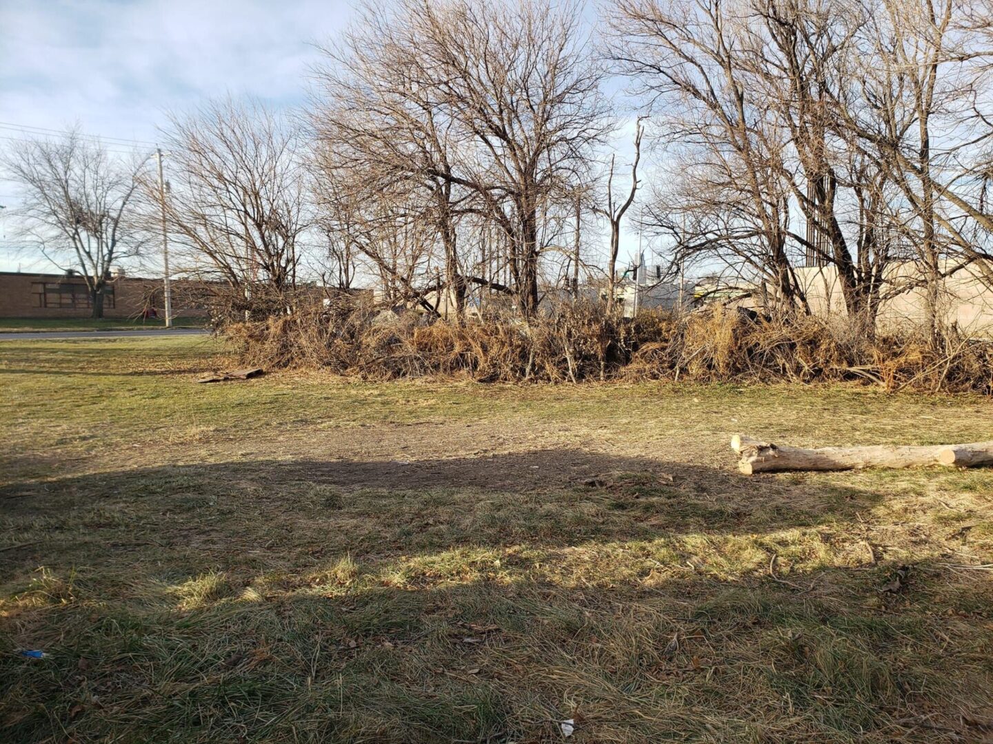 A field with trees and grass in the background