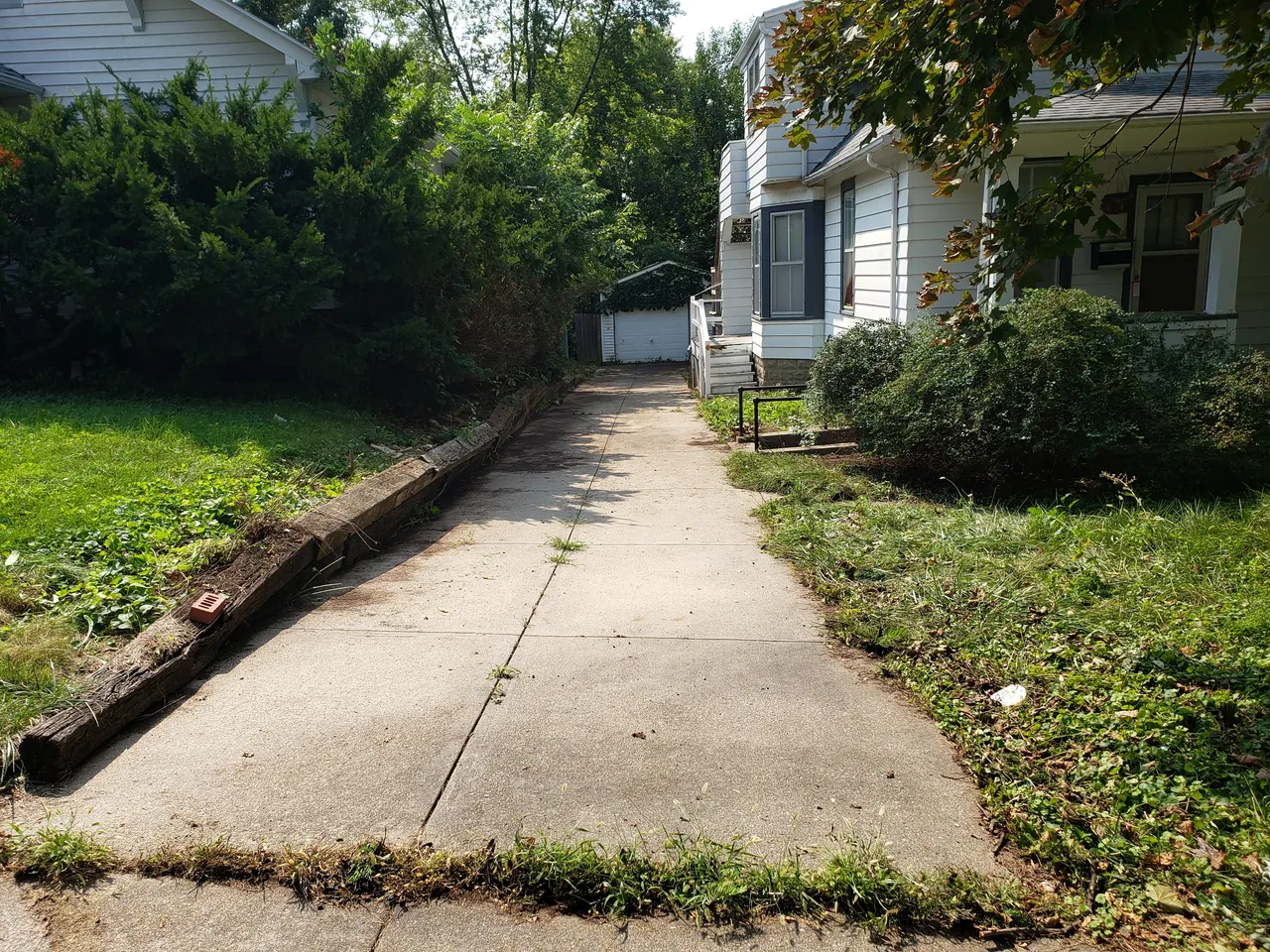 A sidewalk with grass growing on it and bushes around the corner.