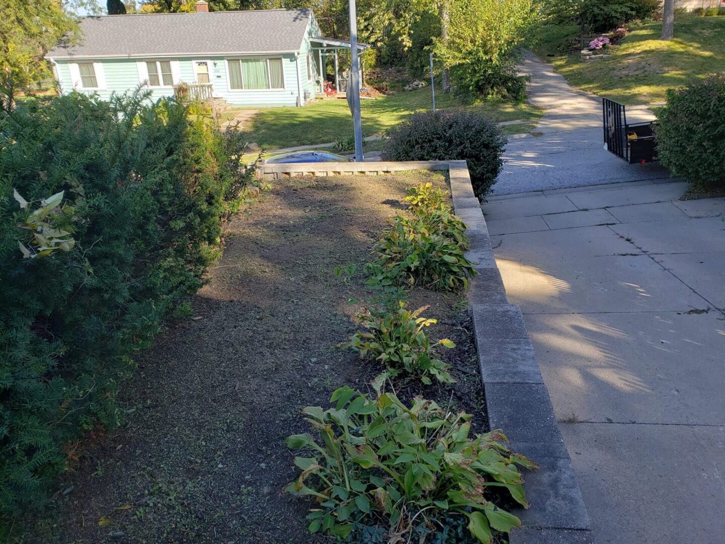 A sidewalk with grass and bushes on it